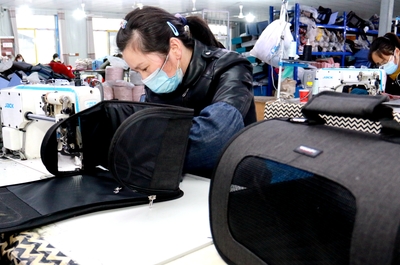 安徽太湖 能人回村添活力，箱包加工促振興