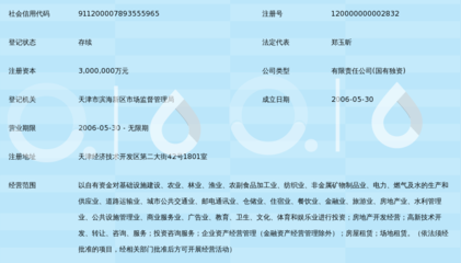 天津濱海新區(qū)建設投資集團有限公司
